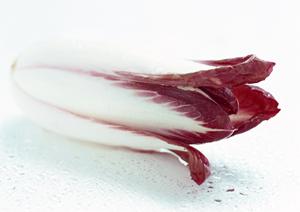 府中の創作料理と地酒が楽しめる『都夏 -つげ-』：新鮮な馬刺しと季節の旨味を満喫できるお店