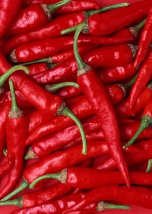 2026年最新版：日本橋で楽しむ絶品イタリアンガイド – 満足度No．1のレストランと絶対外さない選び方